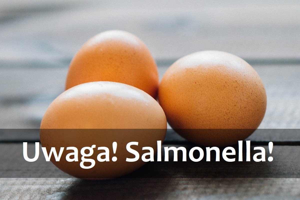 Uwaga! W tych jajkach wykryto Salmonellę