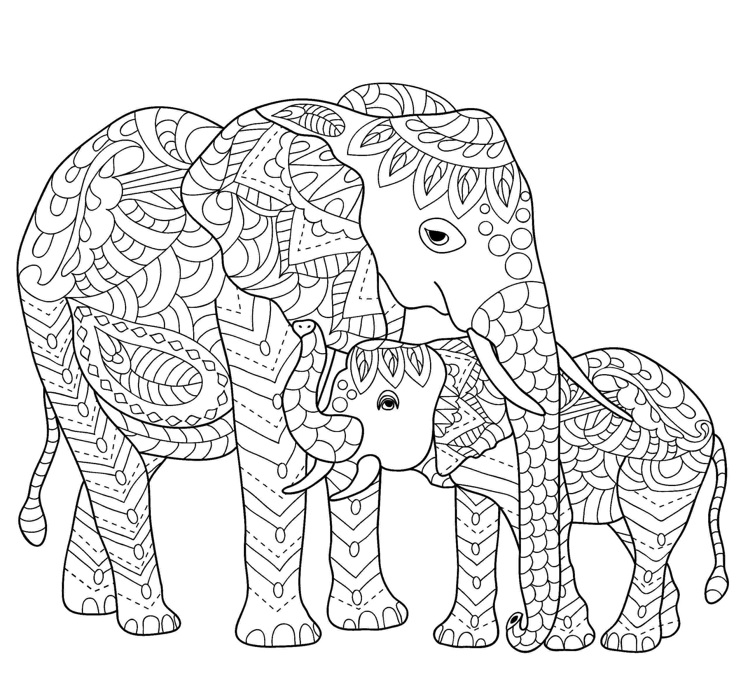 Słonie - kolorowanka dla seniorów do druku