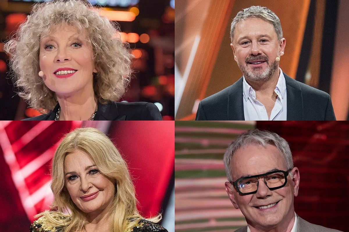 The Voice Senior 7 - trenerzy